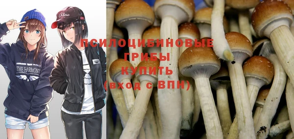 дурь Кулебаки