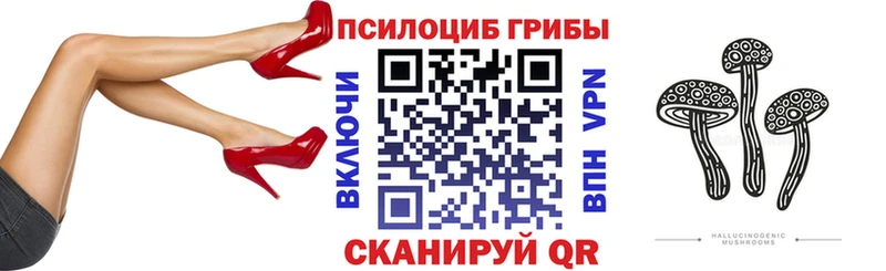 Псилоцибиновые грибы Psilocybine cubensis  omg ссылка  Копейск 