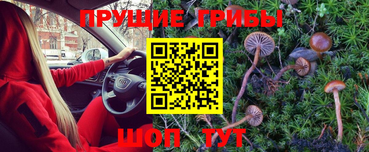 Галлюциногенные грибы мицелий  Псилоцибиновые грибы MAGIC MUSHROOMS  Копейск 