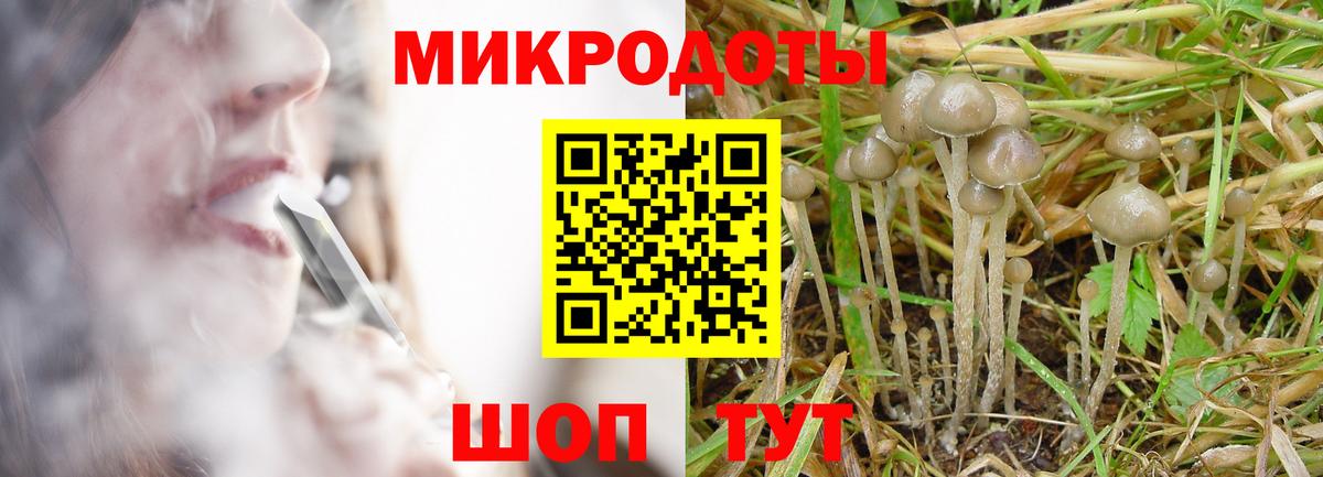 Псилоцибиновые грибы мухоморы Копейск