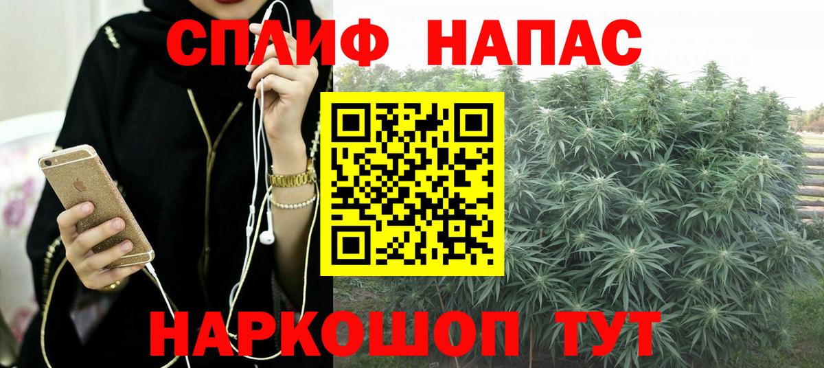 Копейск  Бошки марихуана план  Вход с VPN  Канабис ГИДРОПОН  Конопля Bruce Banner 
